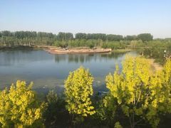 -东郊湿地公园