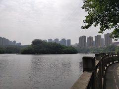 -重庆彩云湖湿地公园