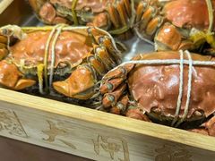 -黄记大闸蟹专卖店·活蟹·醉蟹