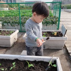 -小蜜蜂农场(凯德七宝购物广场店)