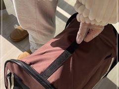 -良伴无忧宠物医院(泰欣嘉园店)