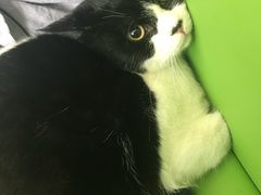-美迦爱-牙专科·兔科·骨科诊疗中心(北苑店)