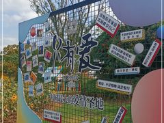 -荷兰花海