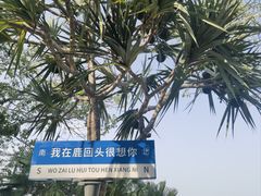 -鹿回头风景区