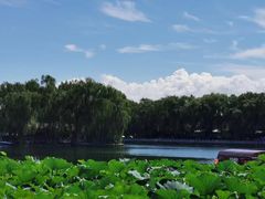 -什刹海