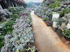 -山菌美食苑(振兴路店)