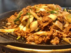 -喜悦烤鸭·新京菜(王府井店)