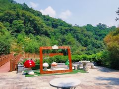 -广州白江湖森林公园