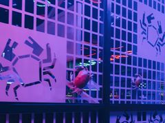 -蛮横肉蟹煲(印象城店)