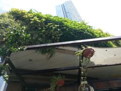 -听香·678茶铺(猛追湾店)