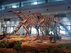 -自贡恐龙博物馆