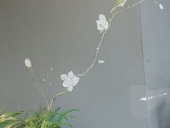 -珺小七铜锅涮肉(桃园路店)