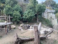 -宁波野生动物园