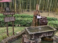 -陶祖圣境风景区