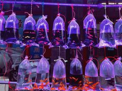 -华声天桥民俗文化园