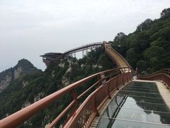 -少华山国家森林公园