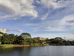 -福田红树林生态公园