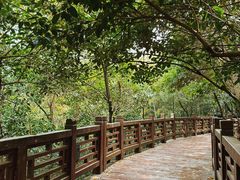 -紫金山山顶公园