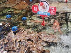 -鑫复盛皇嘉海鲜酒店