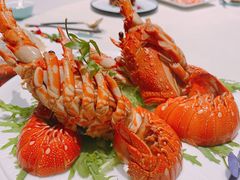 -蝶园·装修中(BFC外滩金融中心店)