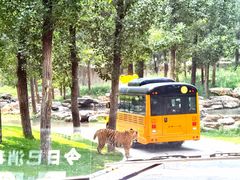 -北京野生动物园