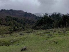 -硗碛藏寨·神木垒景区