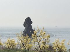 -石老人观光园