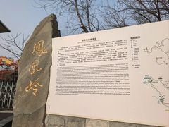 -北京凤凰岭