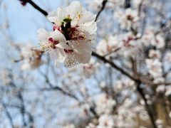 -居庸关长城