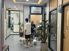 -半岛宠物医院24小时(西派城店)