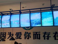 -爱伲牛肉火锅自助(景洪店)