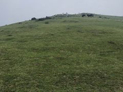 -大姆山草场
