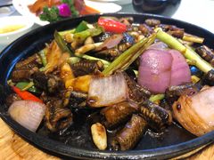 铁板啫黄鳝-朱仔记食府(江南大道店)