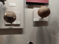 -齐齐哈尔市博物馆