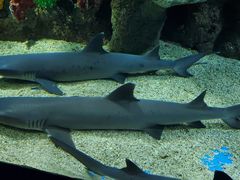 -石林冰雪海洋世界