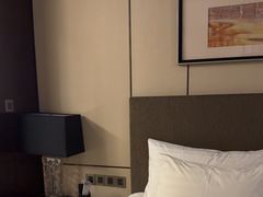 -徐州博顿温德姆酒店(高铁东站店)