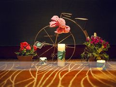 -上海安亭别墅花园酒店