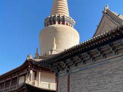 -张掖大佛寺景区