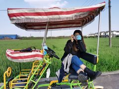 -桤木河湿地公园