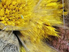 -三圣花乡旅游区