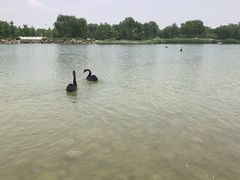 -河北省园博园