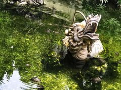-国恩寺