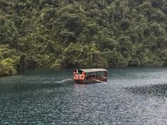 -鼎湖山风景区