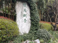 -龙井村
