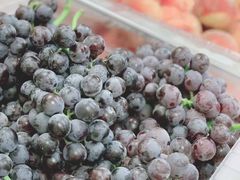 -沈阳市八家子水果批发市场