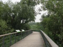-西湖风景区-江洋畈生态公园
