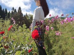 -武陵山森林公园