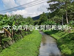 -广州市帽峰山景区