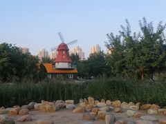 -绿岛公园(滨海新区)
