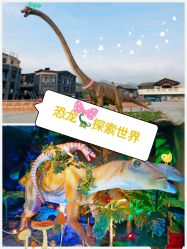 -恐龙探索乐园(磁器口店)